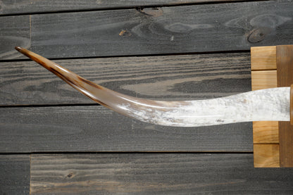 5' 4" Longhorn Wall Mount #355