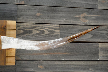 5' 4" Longhorn Wall Mount #355