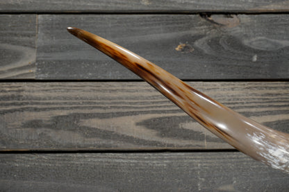 5' 4" Longhorn Wall Mount #355