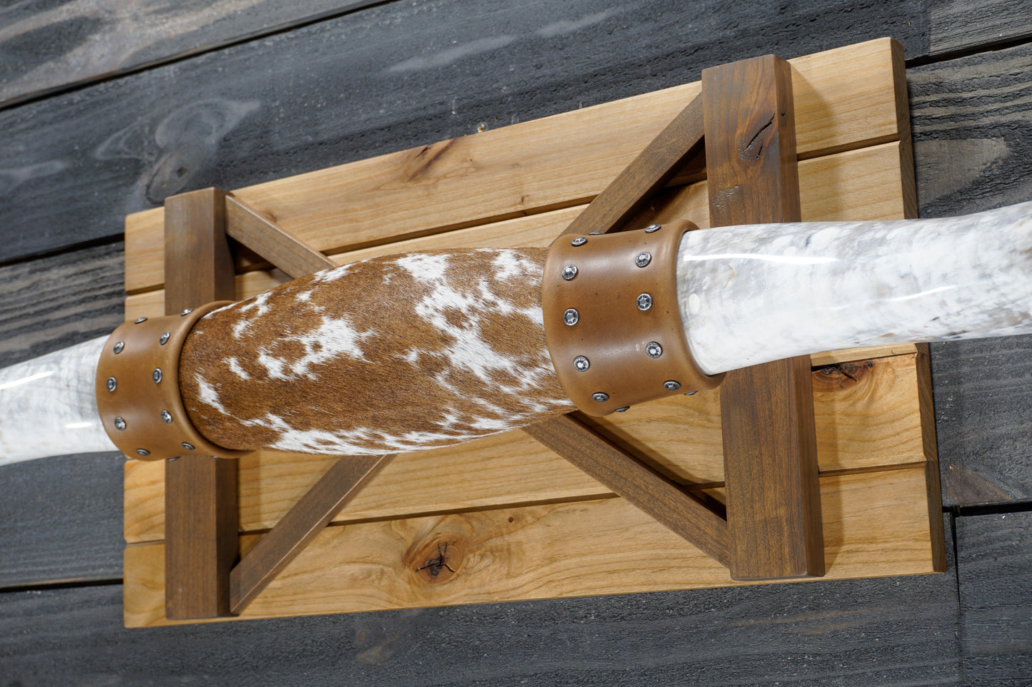 5' 4" Longhorn Wall Mount #355