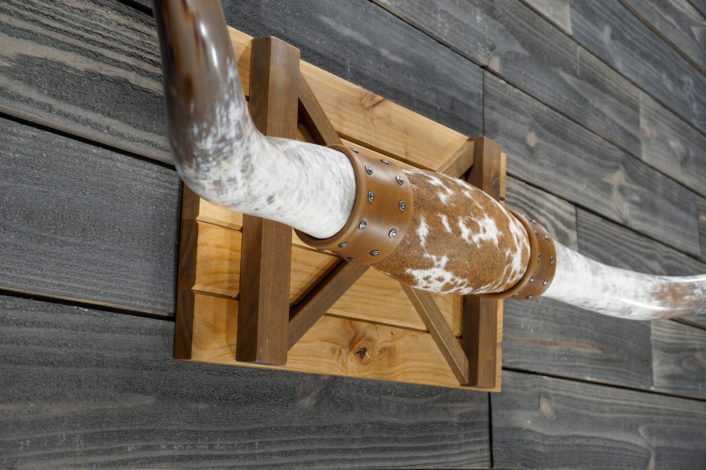 5' 4" Longhorn Wall Mount #355