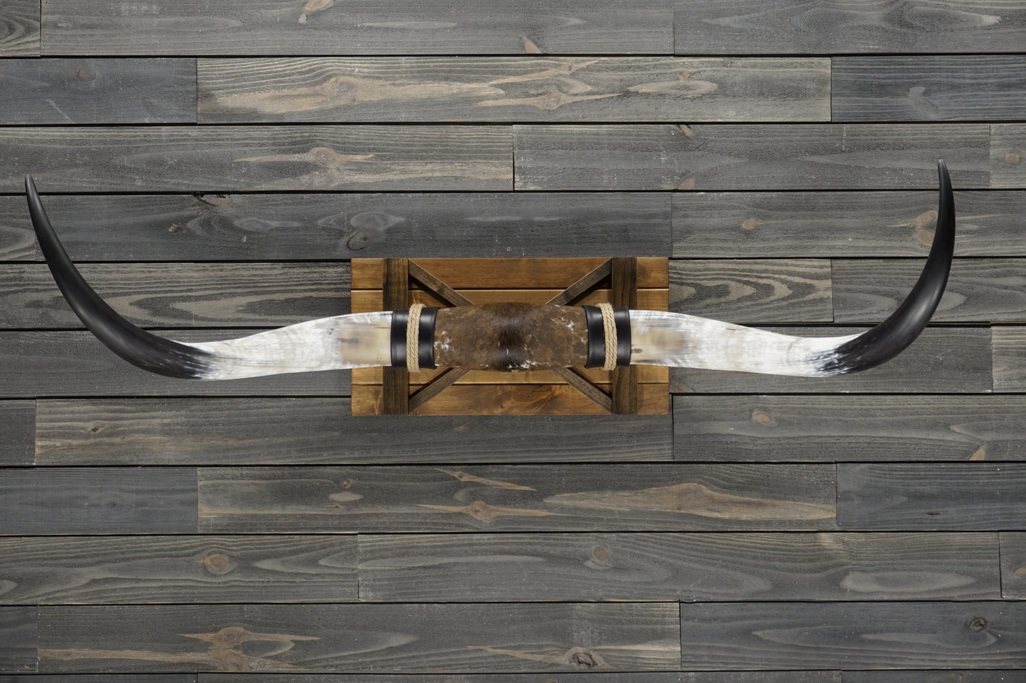 5' 0" Longhorn Wall Mount #357
