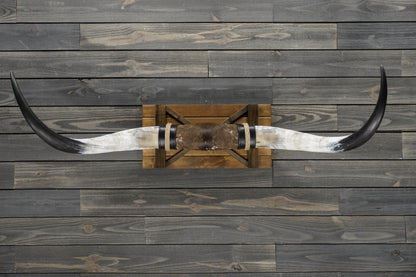 5' 0" Longhorn Wall Mount #357