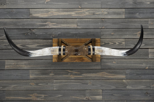 5' 0" Longhorn Wall Mount #357
