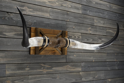 5' 0" Longhorn Wall Mount #357