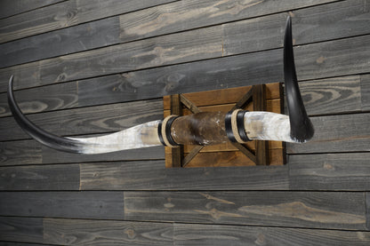 5' 0" Longhorn Wall Mount #357