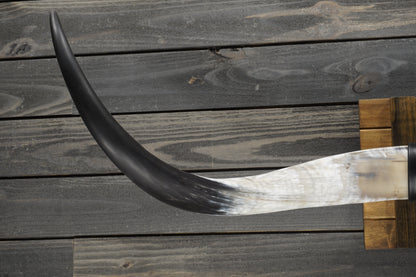 5' 0" Longhorn Wall Mount #357