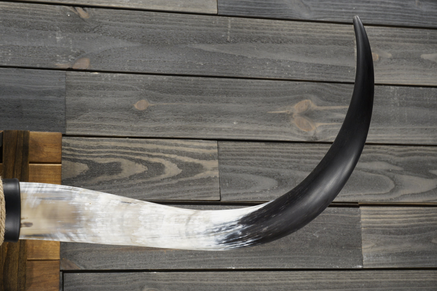 5' 0" Longhorn Wall Mount #357