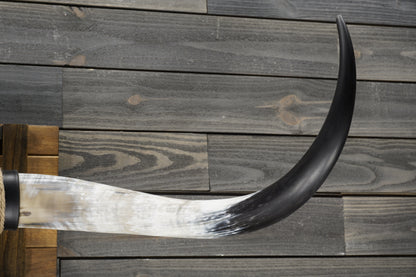 5' 0" Longhorn Wall Mount #357