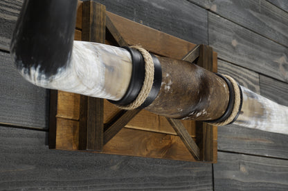 5' 0" Longhorn Wall Mount #357