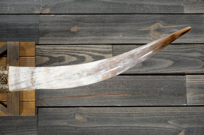 5' 9" Longhorn Wall Mount #364