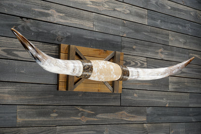 5' 9" Longhorn Wall Mount #364