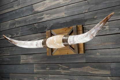 5' 9" Longhorn Wall Mount #364
