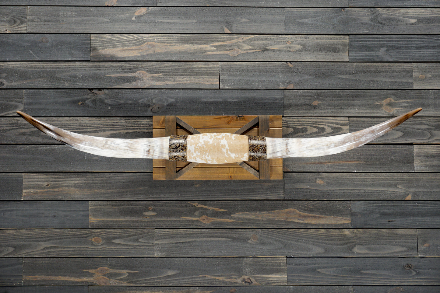 5' 9" Longhorn Wall Mount #364