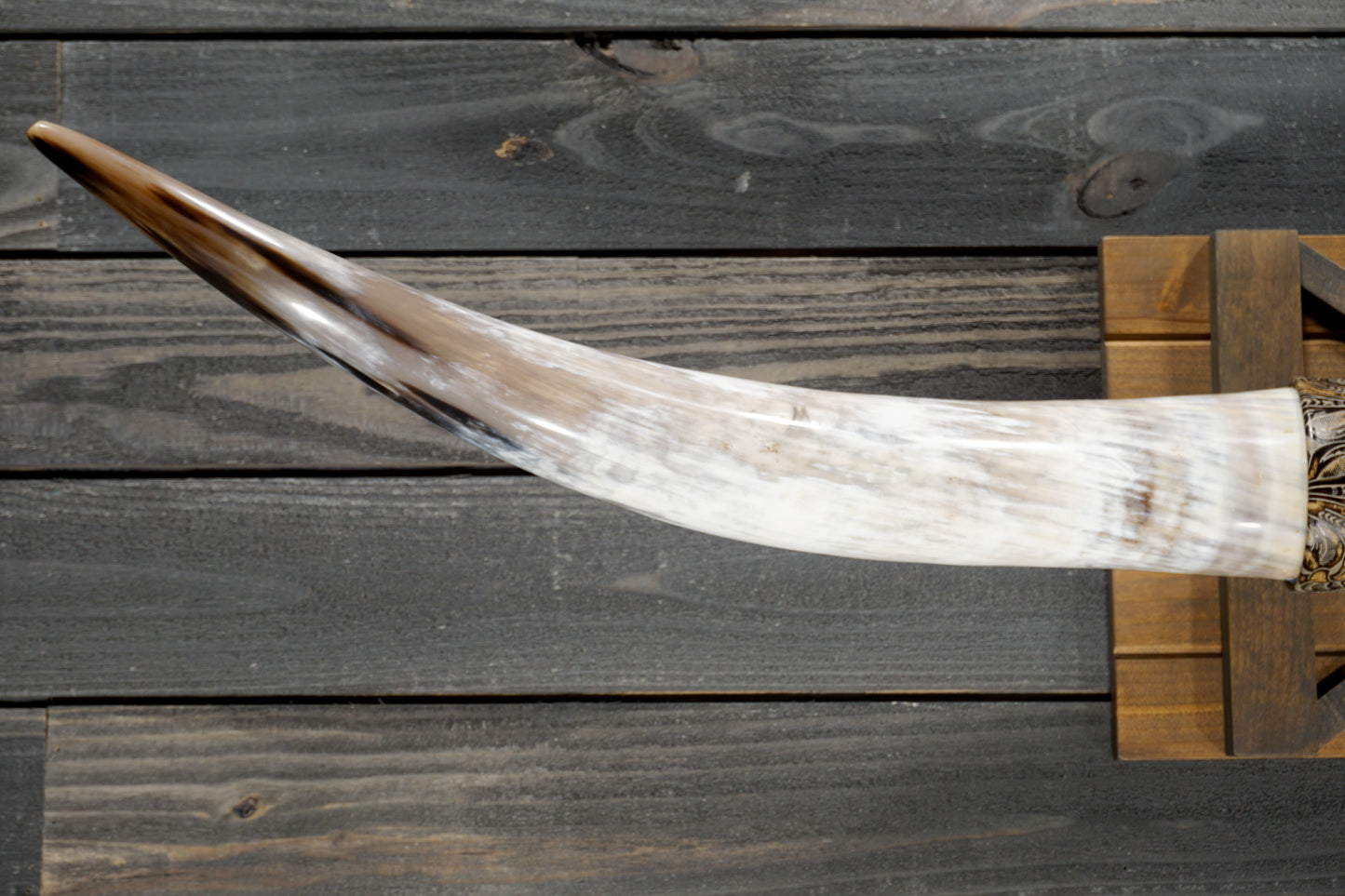 5' 9" Longhorn Wall Mount #364