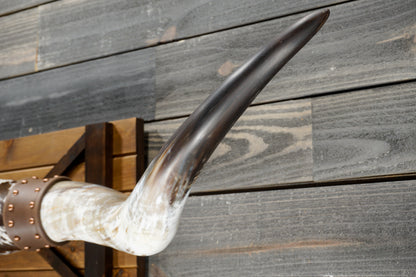 5' 7" Longhorn Wall Mount #369