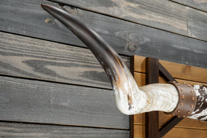 5' 7" Longhorn Wall Mount #369