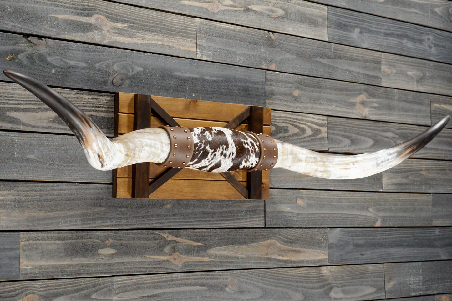 5' 7" Longhorn Wall Mount #369