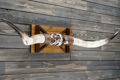 5' 7" Longhorn Wall Mount #369