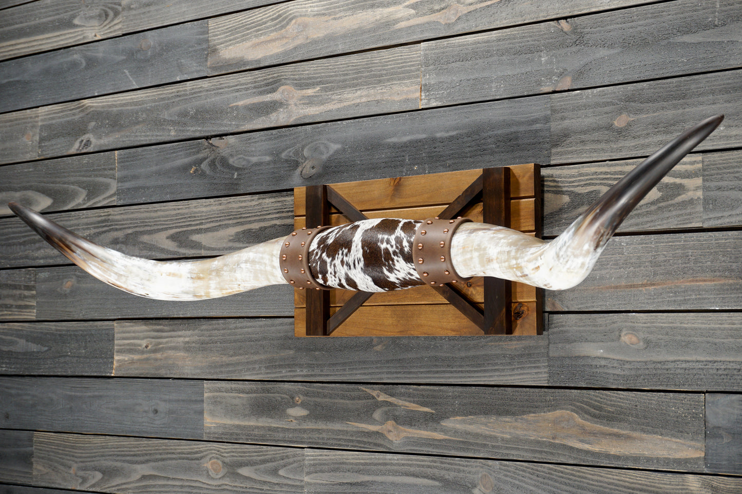 5' 7" Longhorn Wall Mount #369