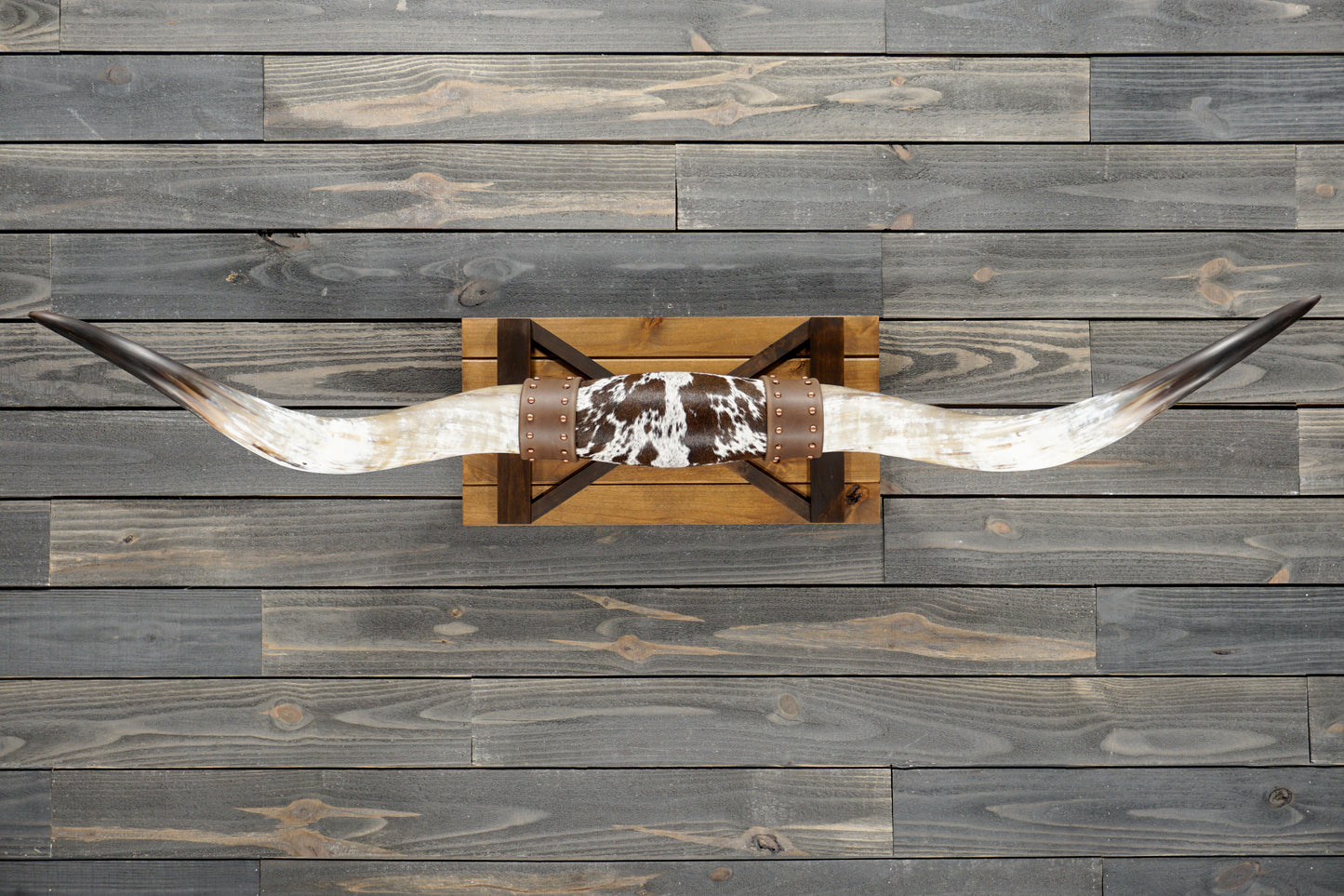5' 7" Longhorn Wall Mount #369