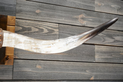5' 7" Longhorn Wall Mount #369