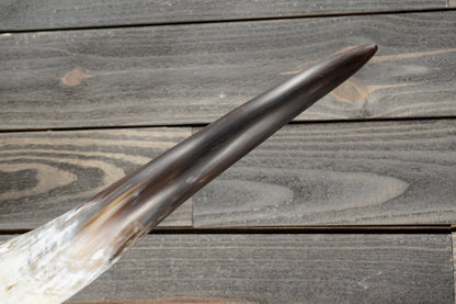 5' 7" Longhorn Wall Mount #369