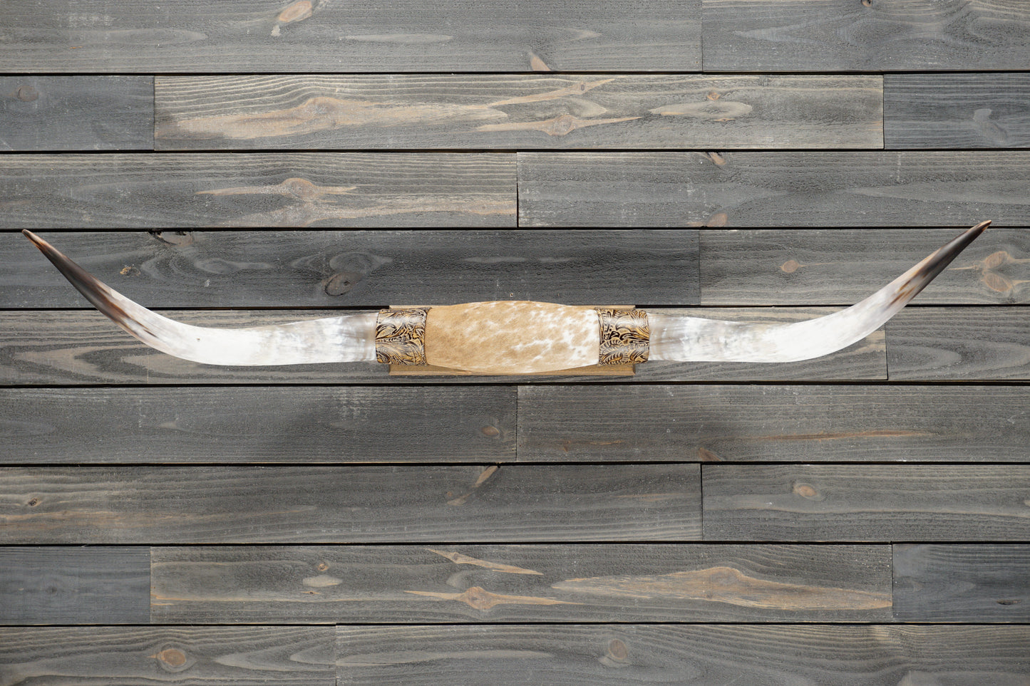 4' 9" Longhorn Wall Mount #371
