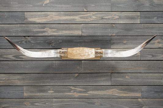 4' 9" Longhorn Wall Mount #371
