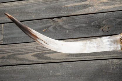4' 9" Longhorn Wall Mount #371