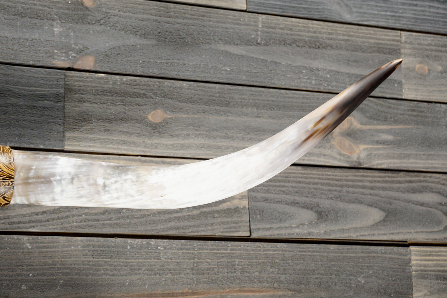 4' 9" Longhorn Wall Mount #371