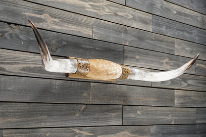4' 9" Longhorn Wall Mount #371
