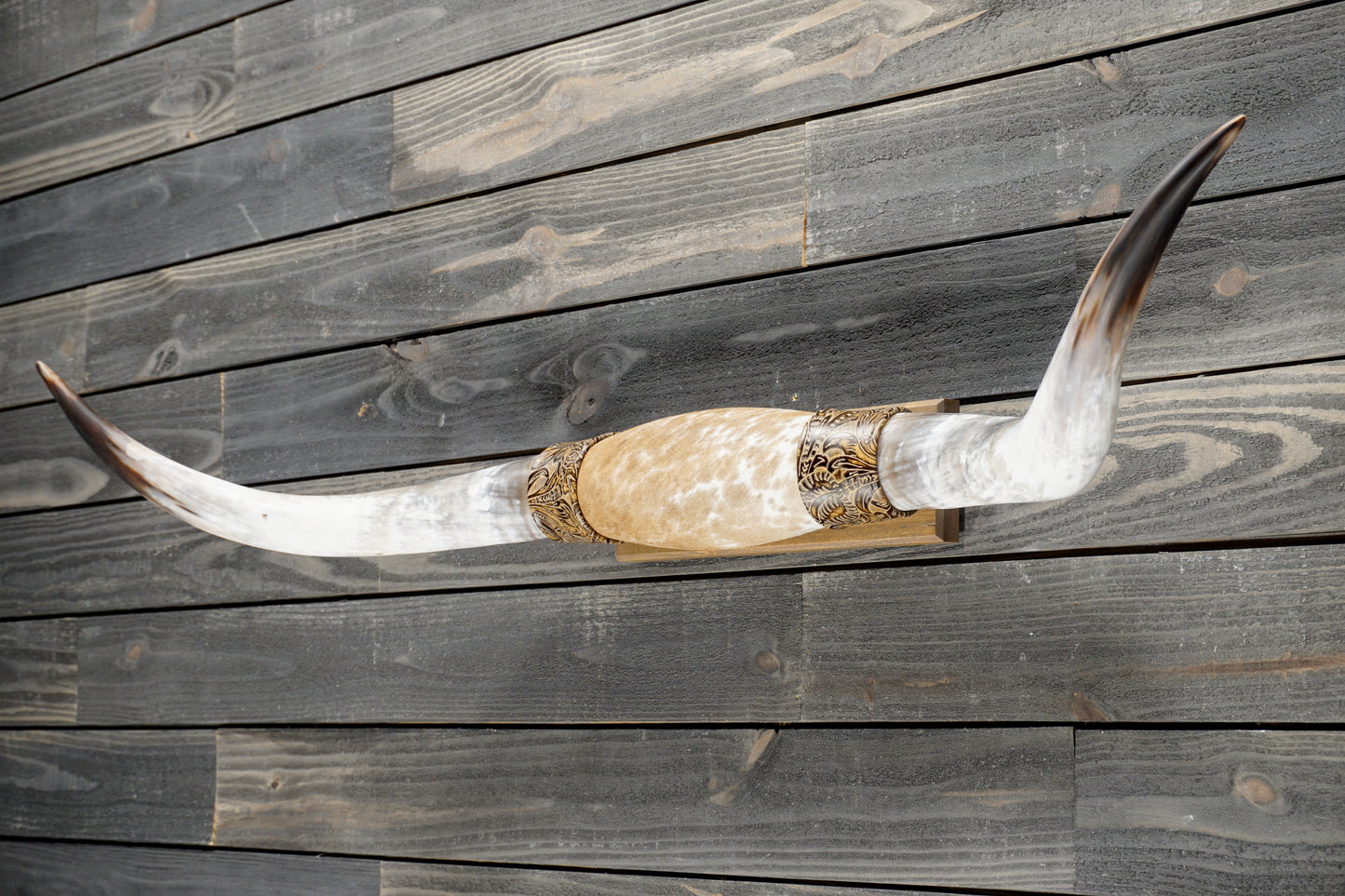 4' 9" Longhorn Wall Mount #371