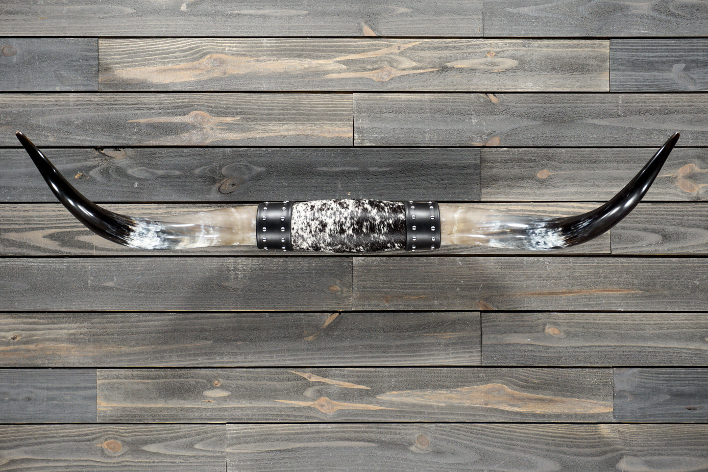 4' 7" Longhorn Wall Mount #376