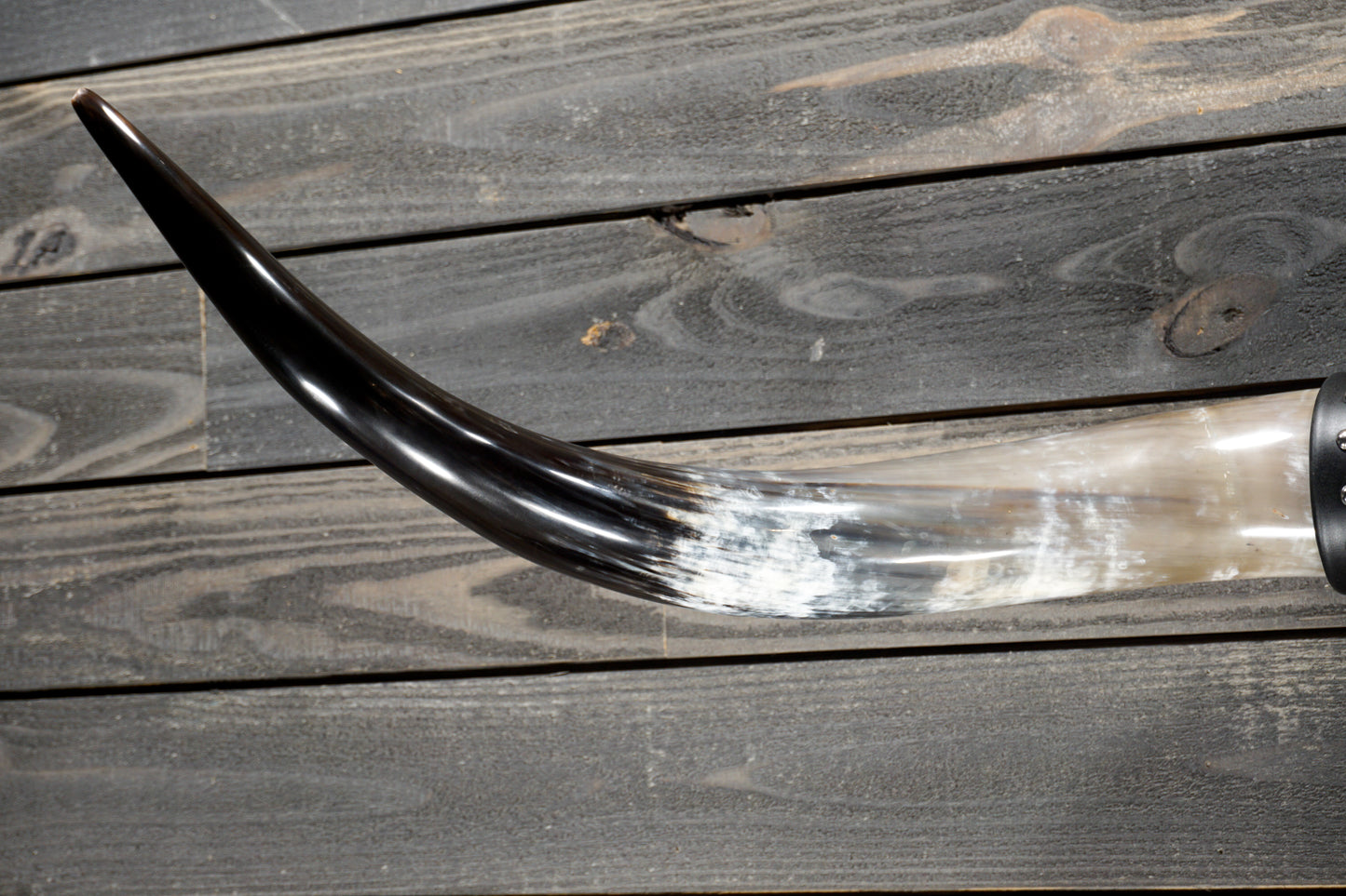 4' 7" Longhorn Wall Mount #376