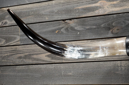 4' 7" Longhorn Wall Mount #376