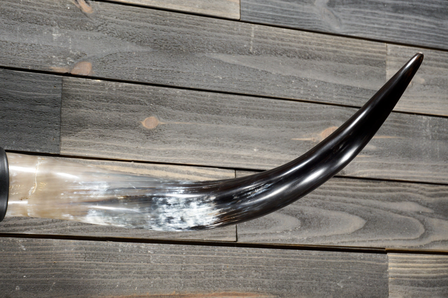 4' 7" Longhorn Wall Mount #376