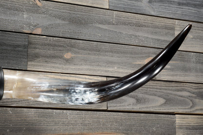 4' 7" Longhorn Wall Mount #376