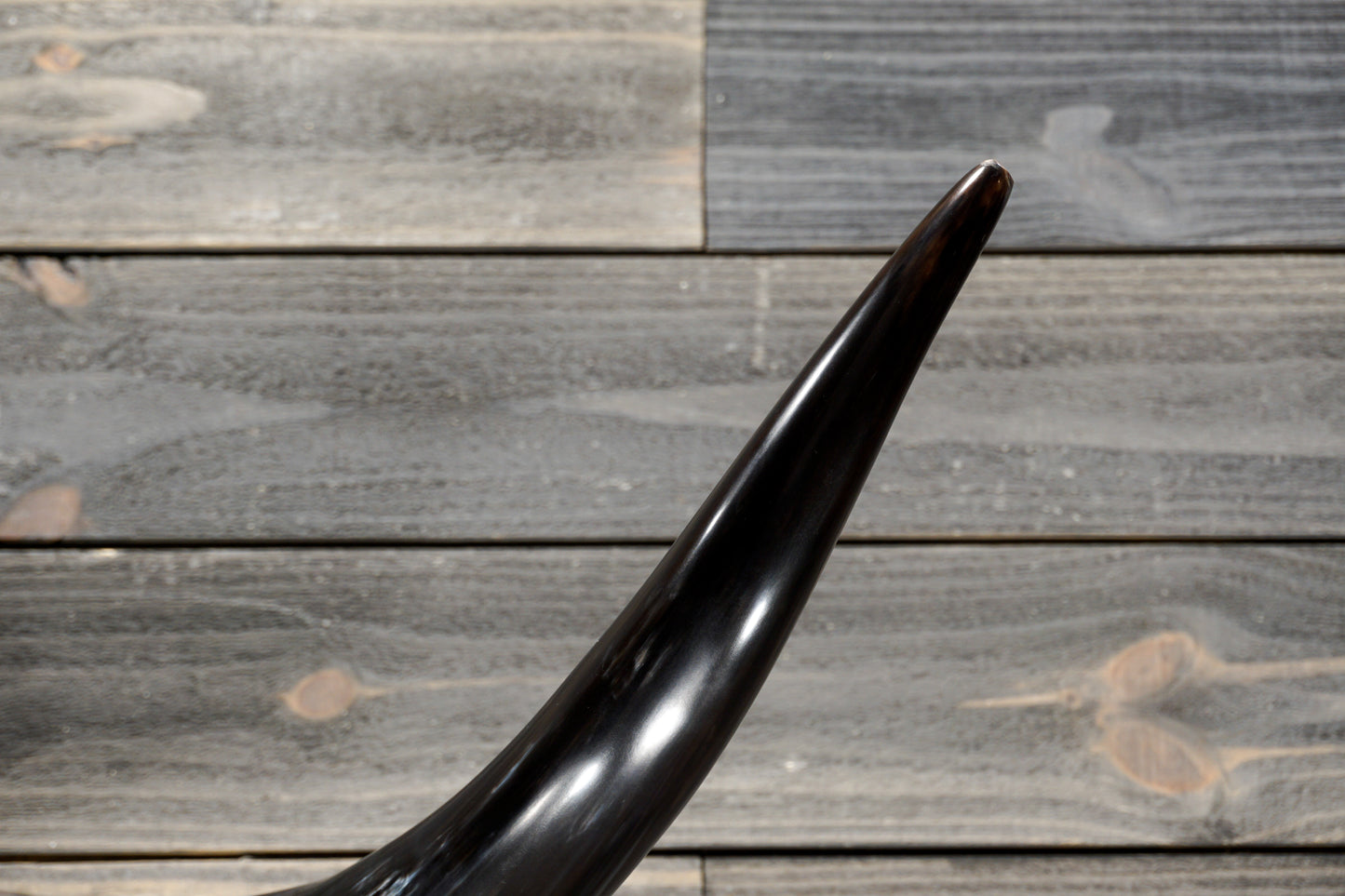 4' 7" Longhorn Wall Mount #376
