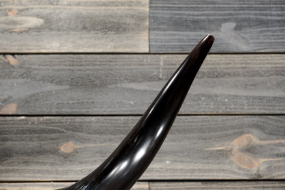 4' 7" Longhorn Wall Mount #376