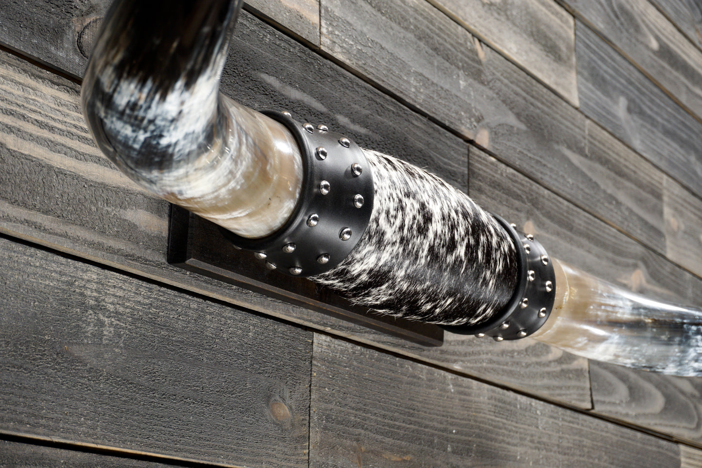 4' 7" Longhorn Wall Mount #376