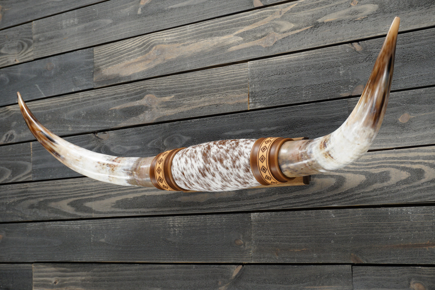 4' 1" Longhorn Wall Mount #310
