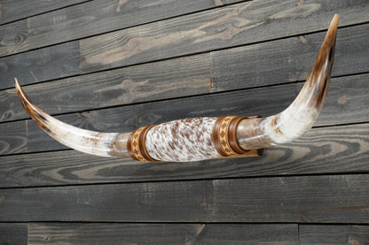 4' 1" Longhorn Wall Mount #310