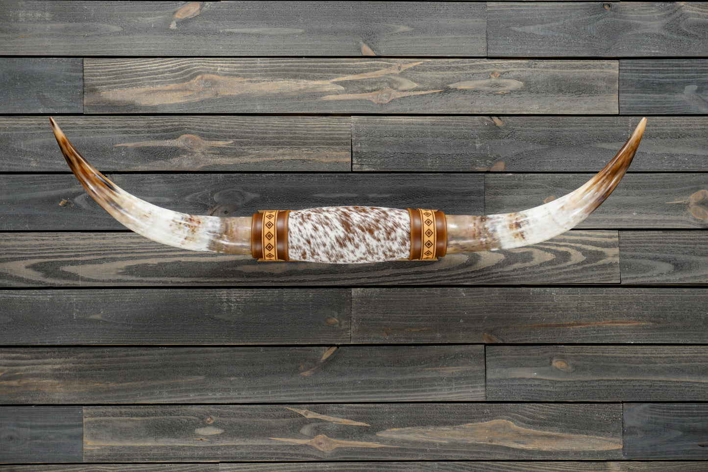 4' 1" Longhorn Wall Mount #310