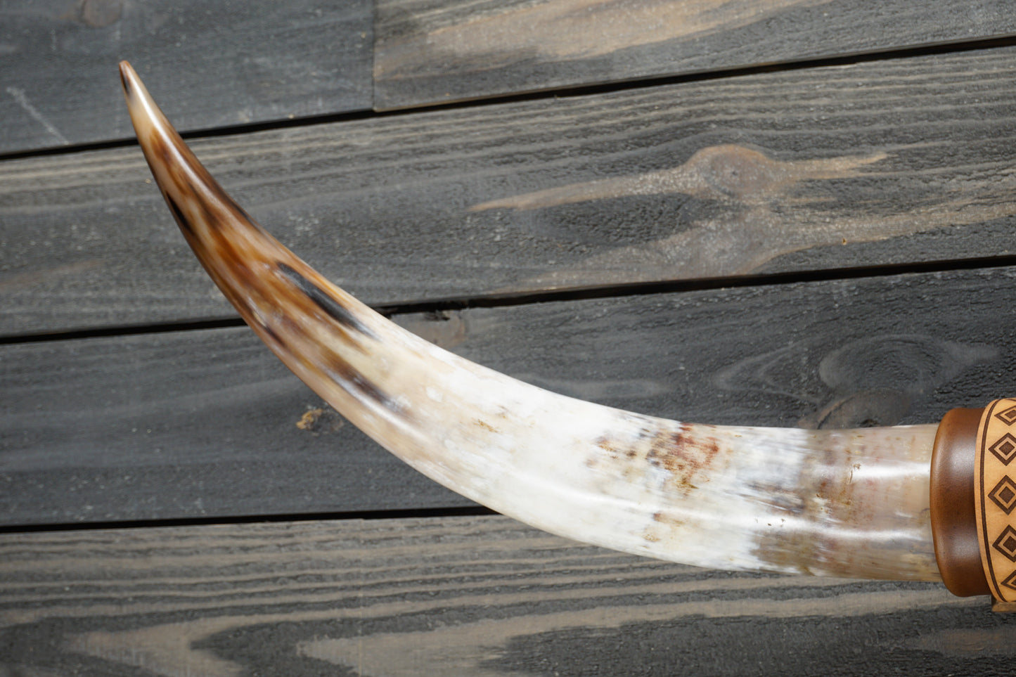 4' 1" Longhorn Wall Mount #310