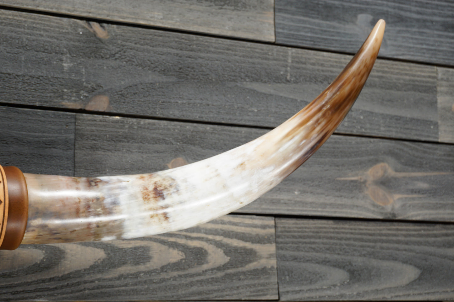 4' 1" Longhorn Wall Mount #310