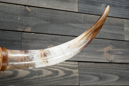 4' 1" Longhorn Wall Mount #310