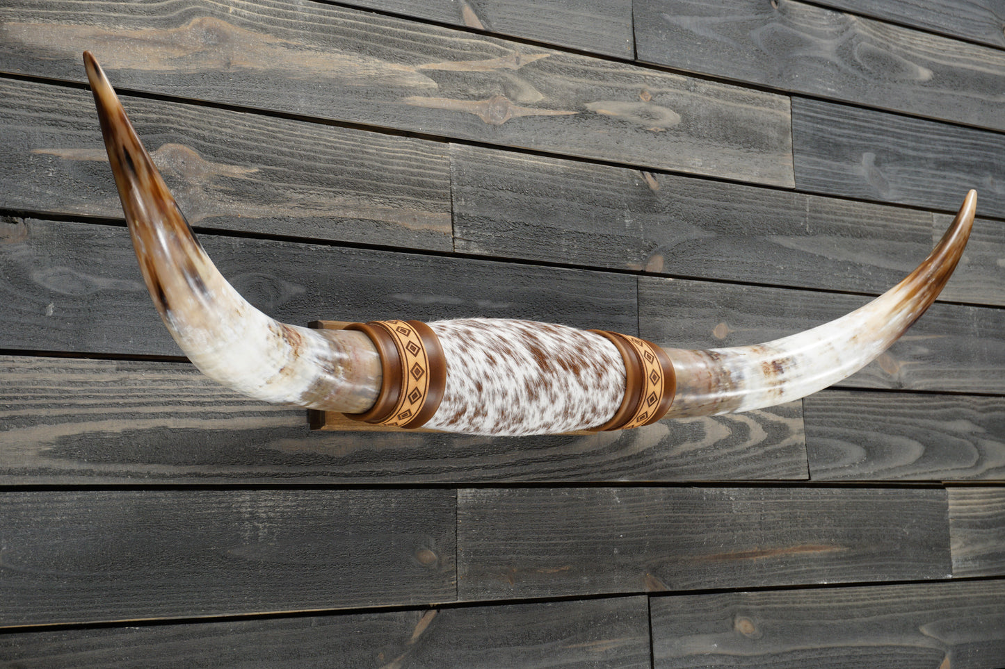 4' 1" Longhorn Wall Mount #310