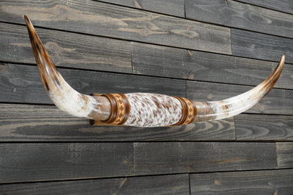 4' 1" Longhorn Wall Mount #310