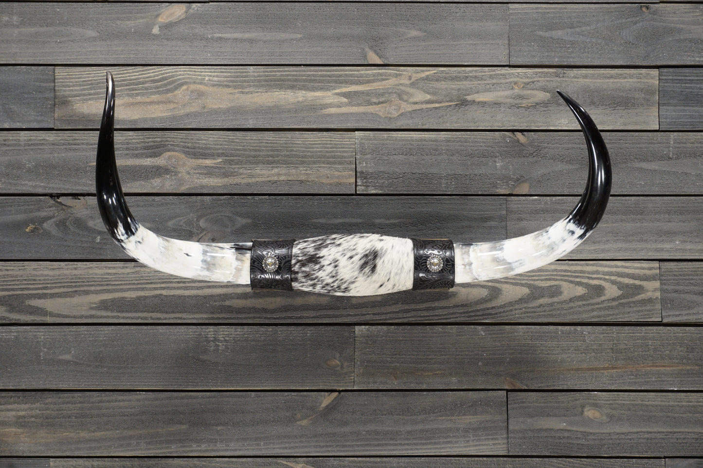 3' 0" Longhorn Wall Mount #306
